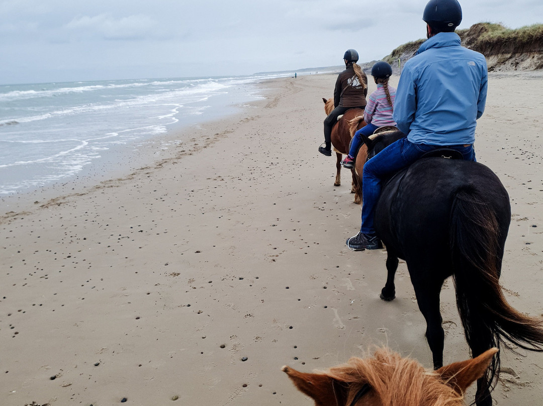 Saga Heste-约林必去景点