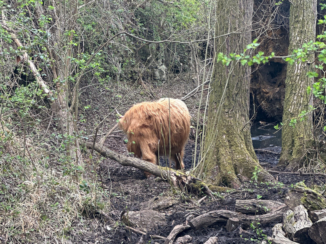 Twywell Hills and Dales-凯特林必去景点