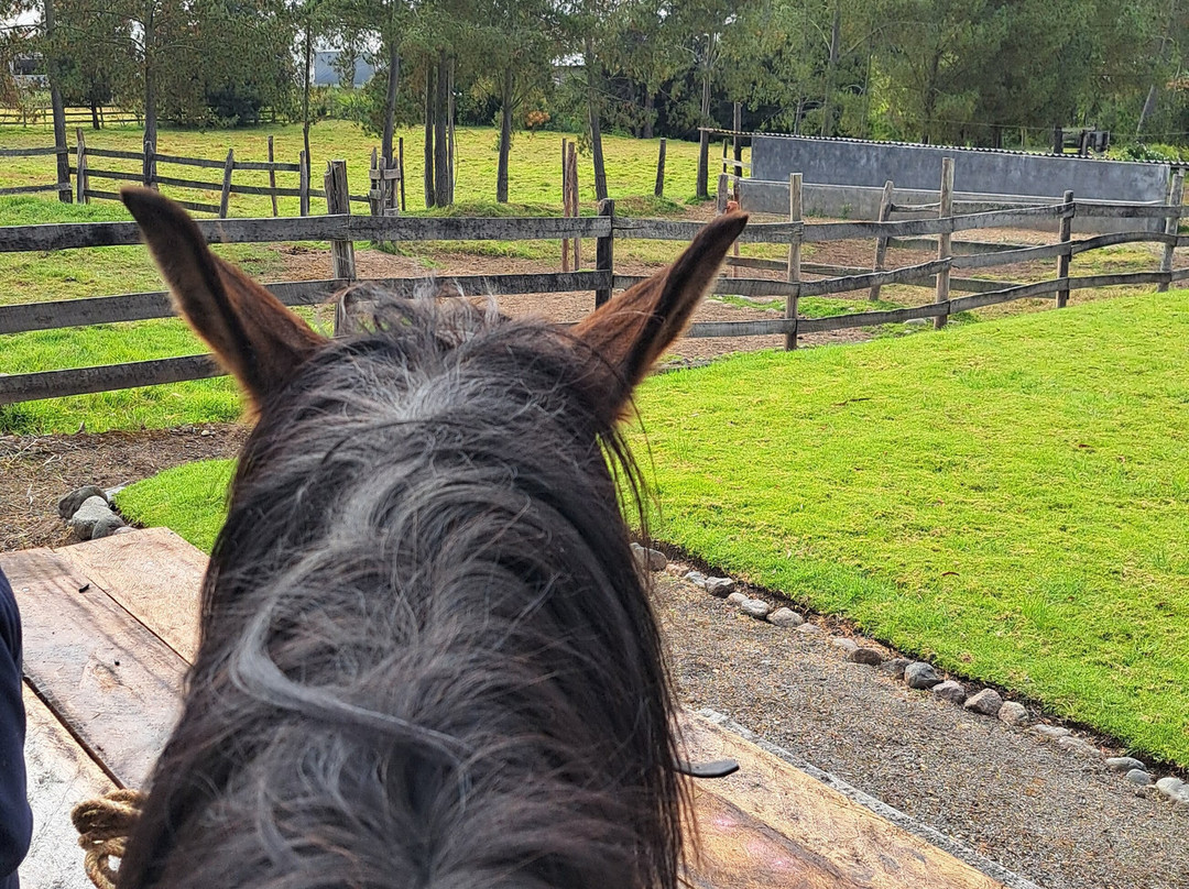 Todo Equino-Cayambe必去景点