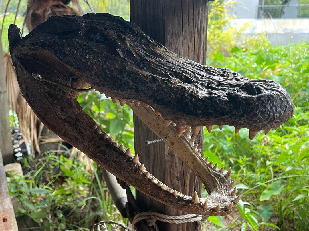 Zam's Bayou Swamp Tours-Kraemer必去景点