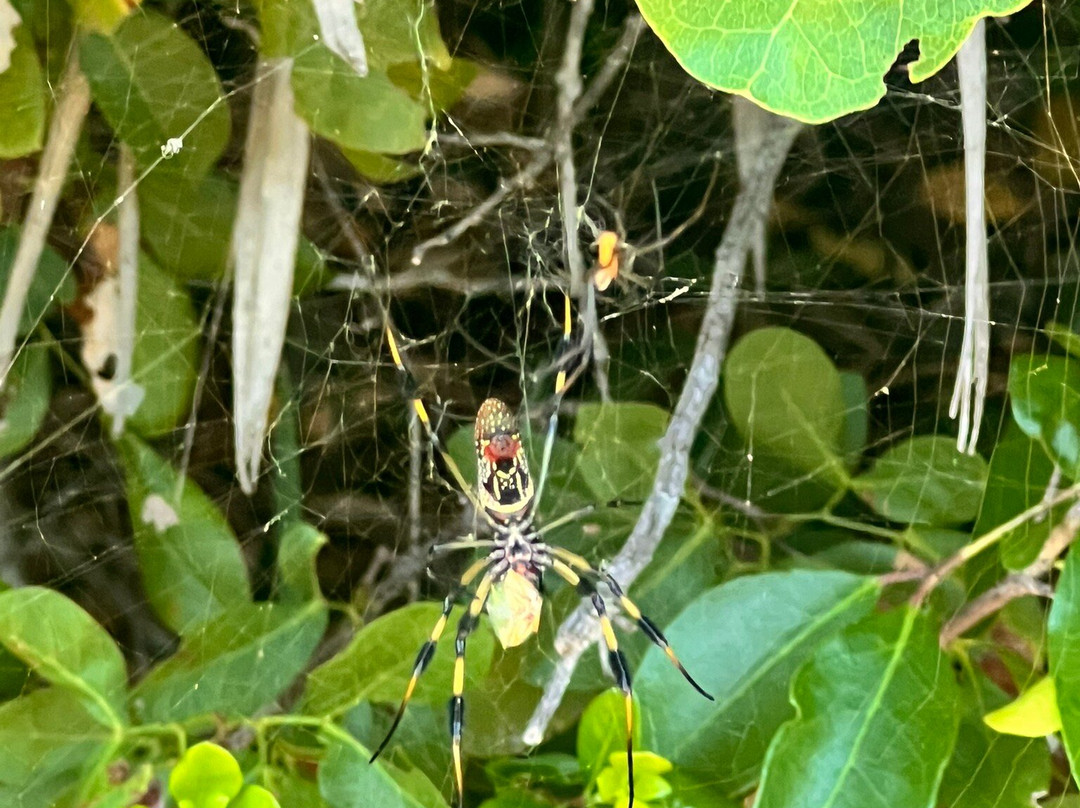 Lucayan Caverns-Lucayan National Park必去景点