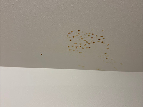 格林维尔中央 I-85 伍德斯普林套房酒店主图