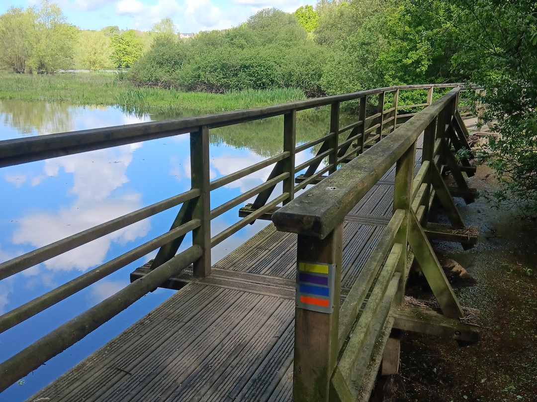 La Passerelle Observatoire Du Lac Du Jaunay-La Chapelle-Hermier必去景点