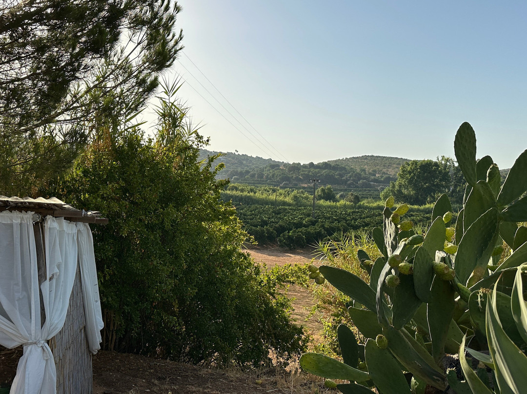 Quinta da Luz - A Luxury Boutique B&B主图