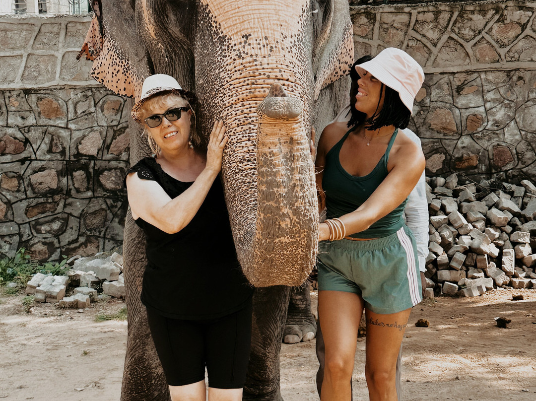 Viaje De Alma-新德里必去景点