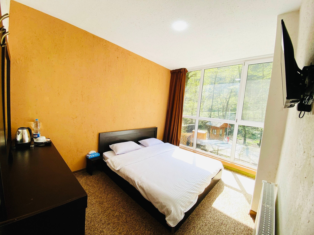 Silvaneh Resort