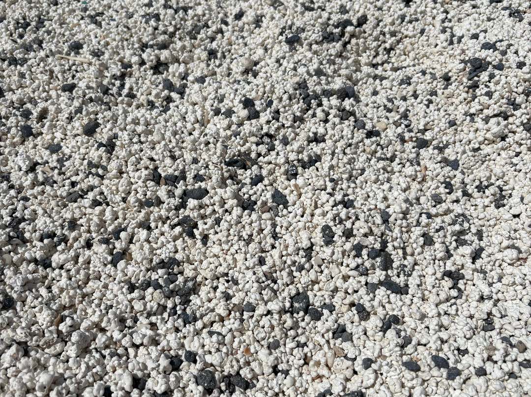 Popcorn Playa-科拉雷侯必去景点