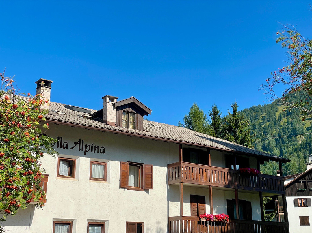 Hotel Stella Alpina主图