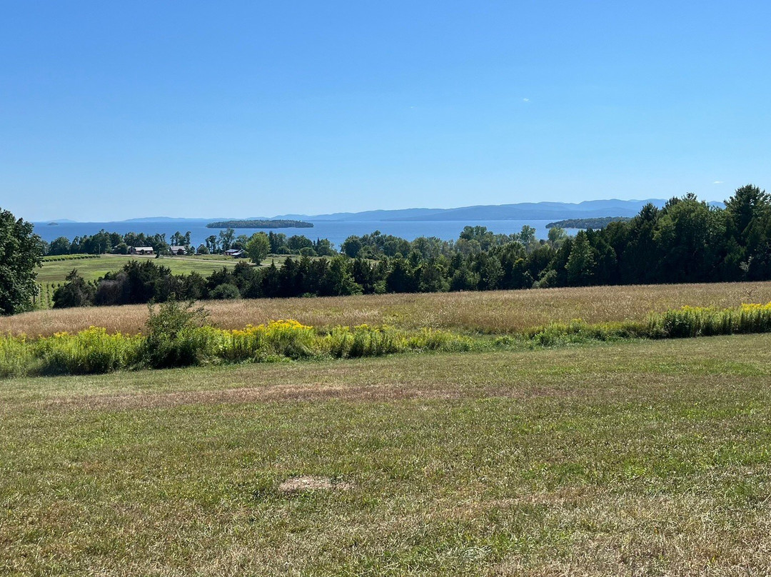 Snow Farm Vineyard and Winery-South Hero必去景点