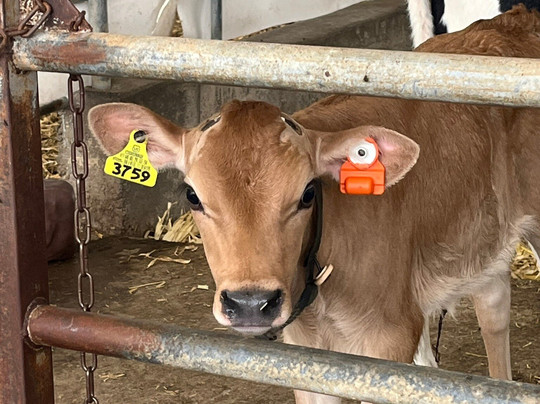 Berning Acres-East Dubuque必去景点