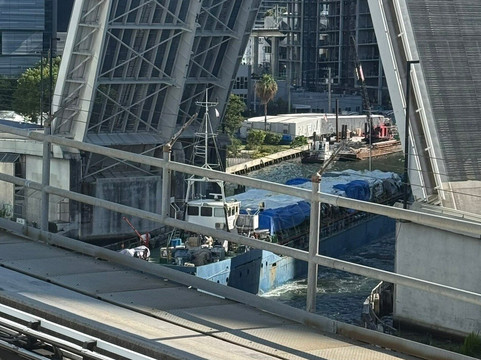 Miami en français-迈阿密必去景点