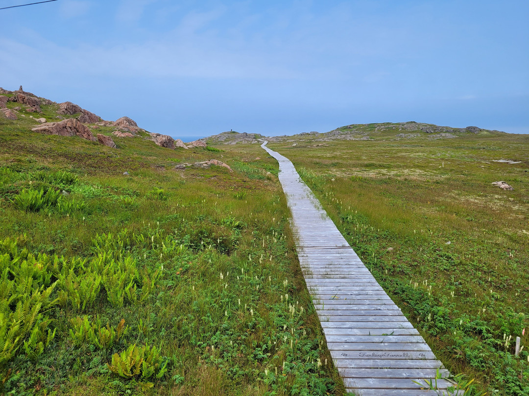 Ramea - Grey River - Burgeo Ferry-Ramea必去景点