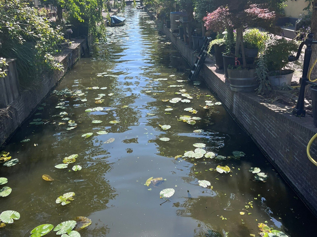 Leiden Street Market-莱顿必去景点