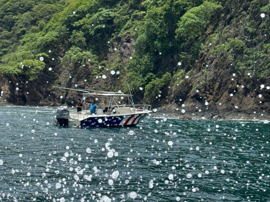 Costa Tours-彭塔雷纳斯必去景点