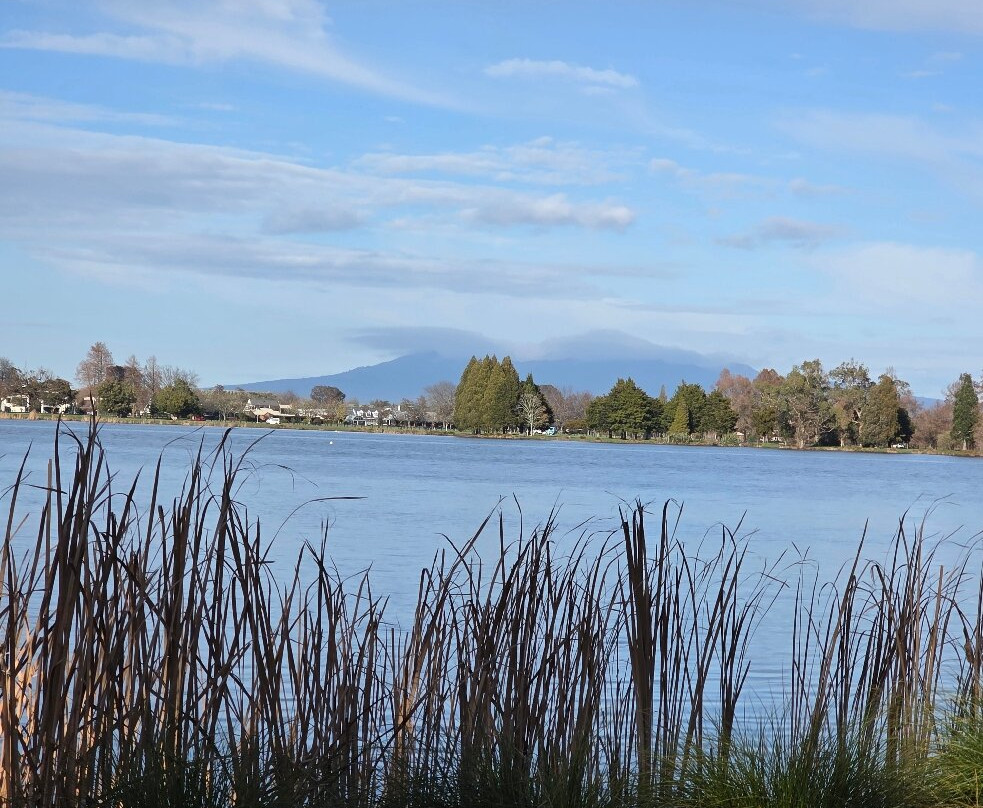 Hamilton Lake Domain-汉密尔顿必去景点