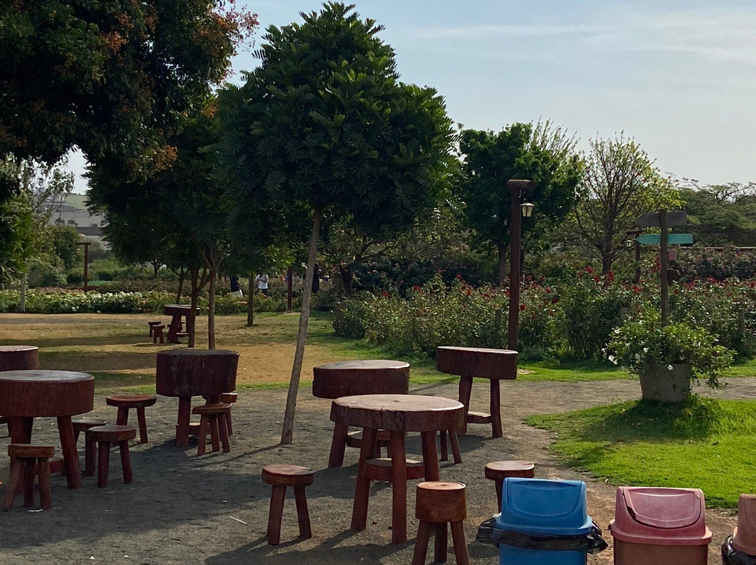 Bloemen Park-Holambra必去景点