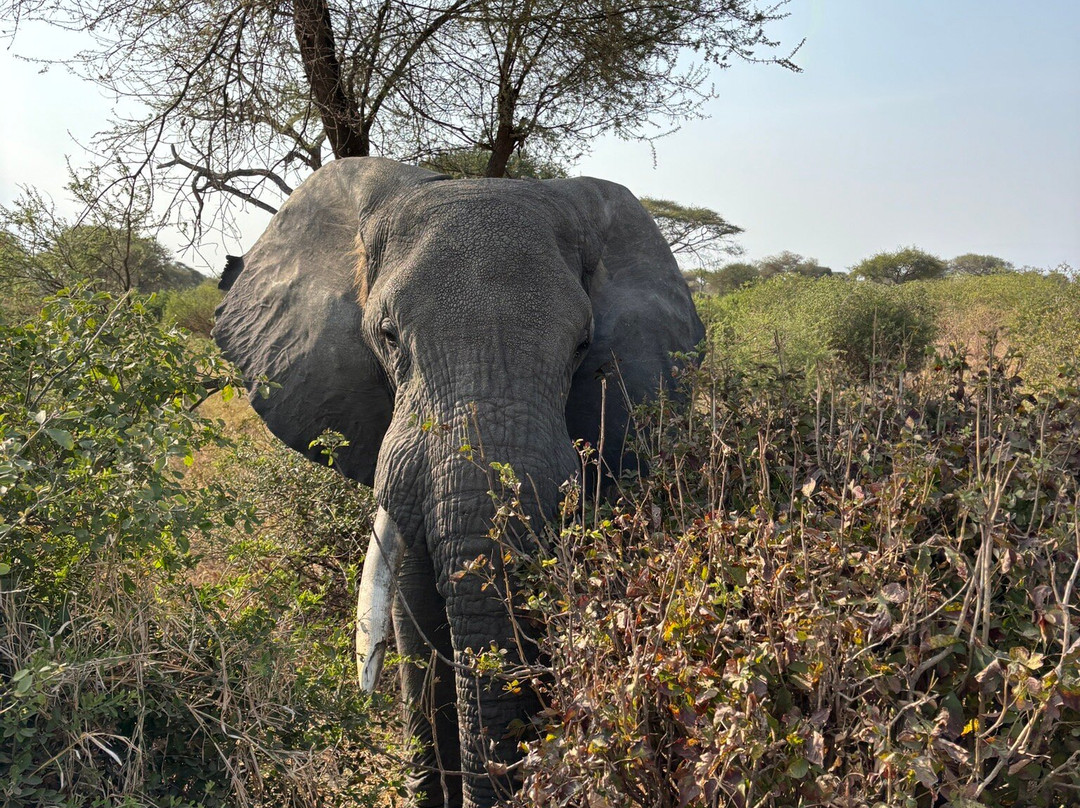 Wadudu Home & Adventure-莫西必去景点