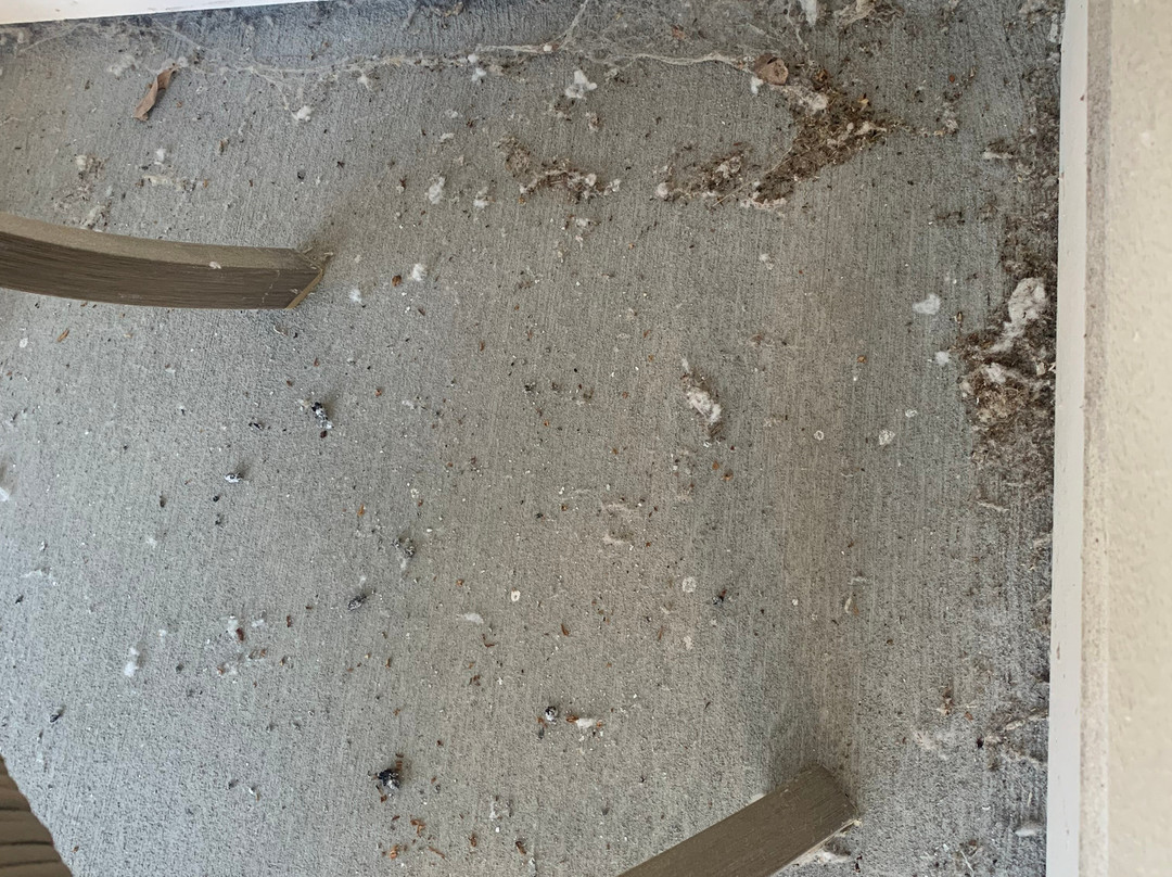 Homewood Suites by Hilton Saratoga Springs主图