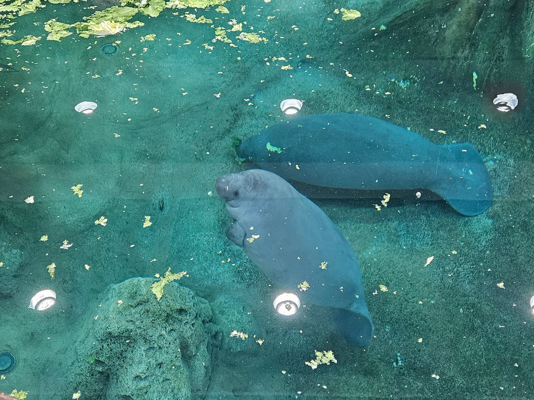 The Bishop Museum Of Science And Nature-布雷登顿必去景点