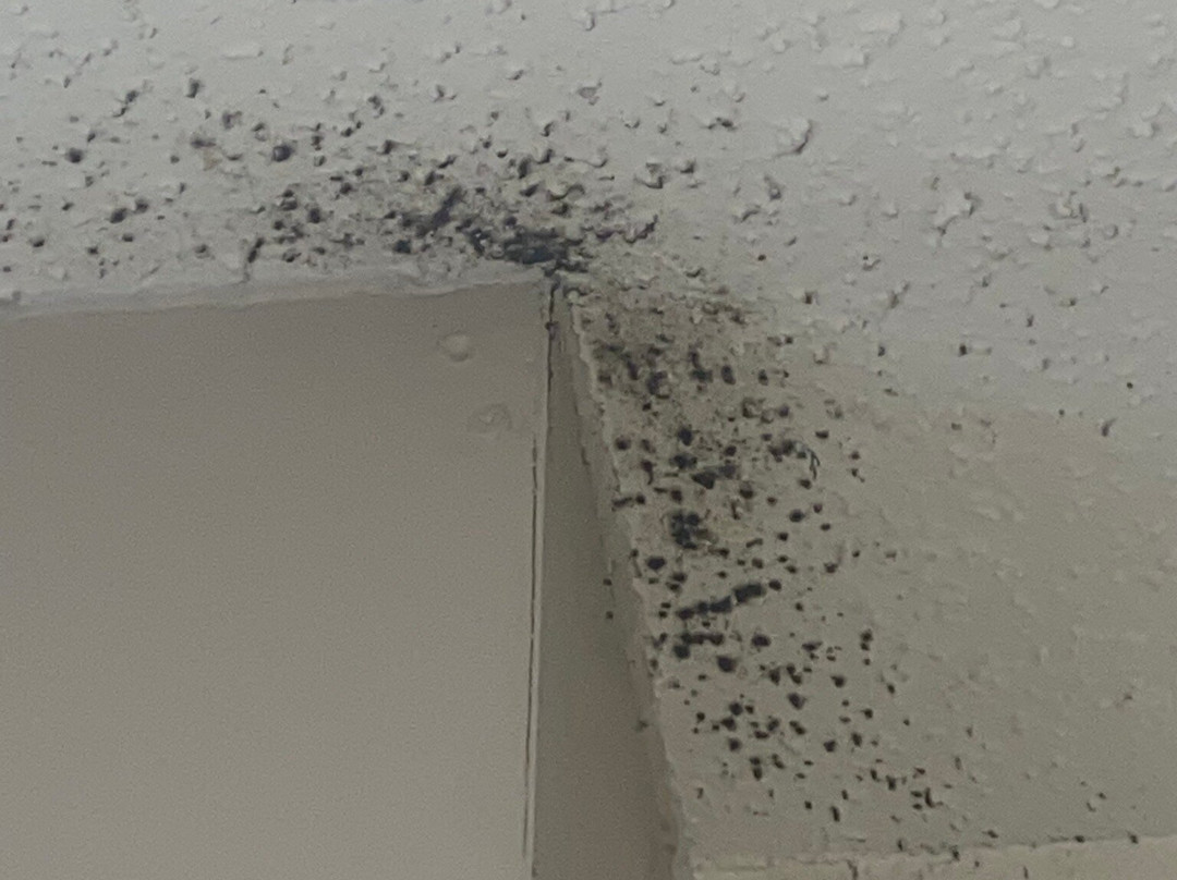 波士顿诺伍德原住客栈主图