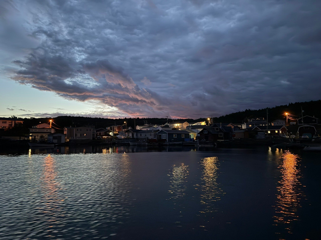 Clarey's Diving & Eco Boat Tours