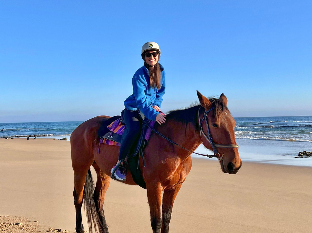 Gunnamatta Trail Rides-拉伊必去景点