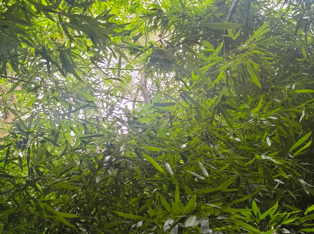Jungle Garden-Eu必去景点