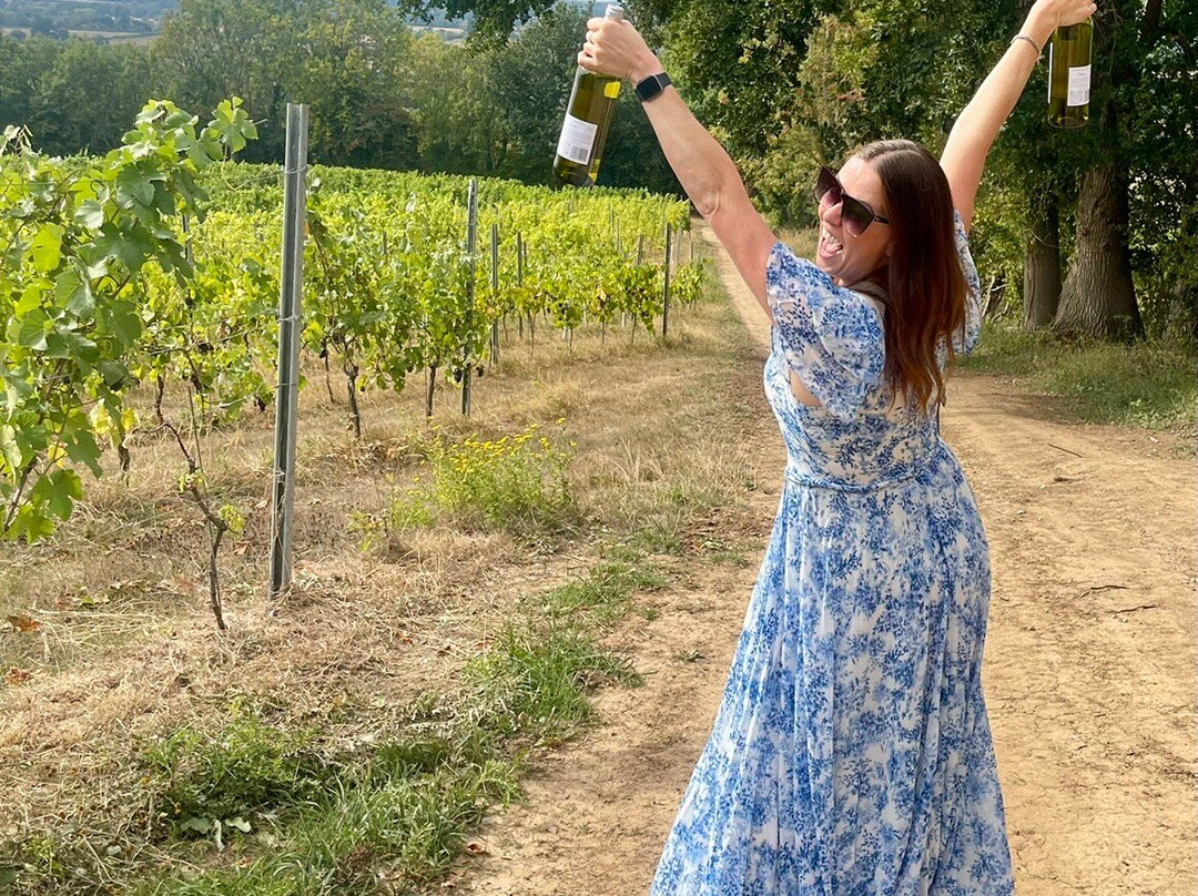 Maud Heath Vineyard-Calne必去景点