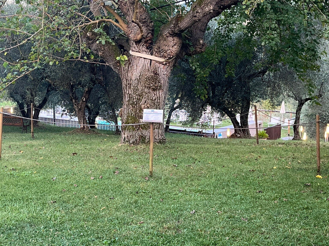 Agriturismo Il Vecchio Gelso主图