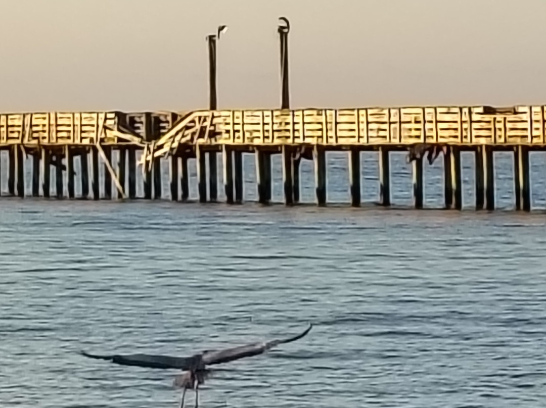 Sylvan Beach Park-拉波特必去景点