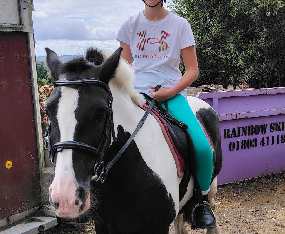 Finlake Riding Centre-Chudleigh必去景点