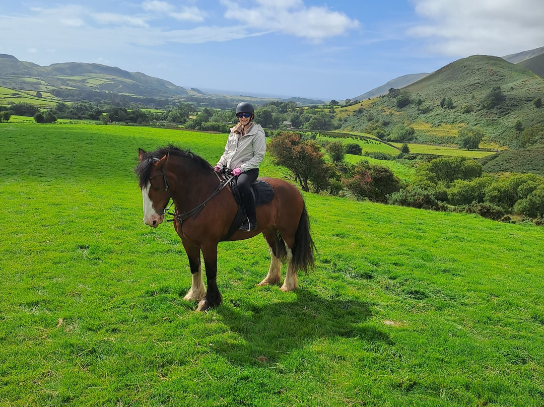 Cumbrian Heavy Horses-Millom必去景点