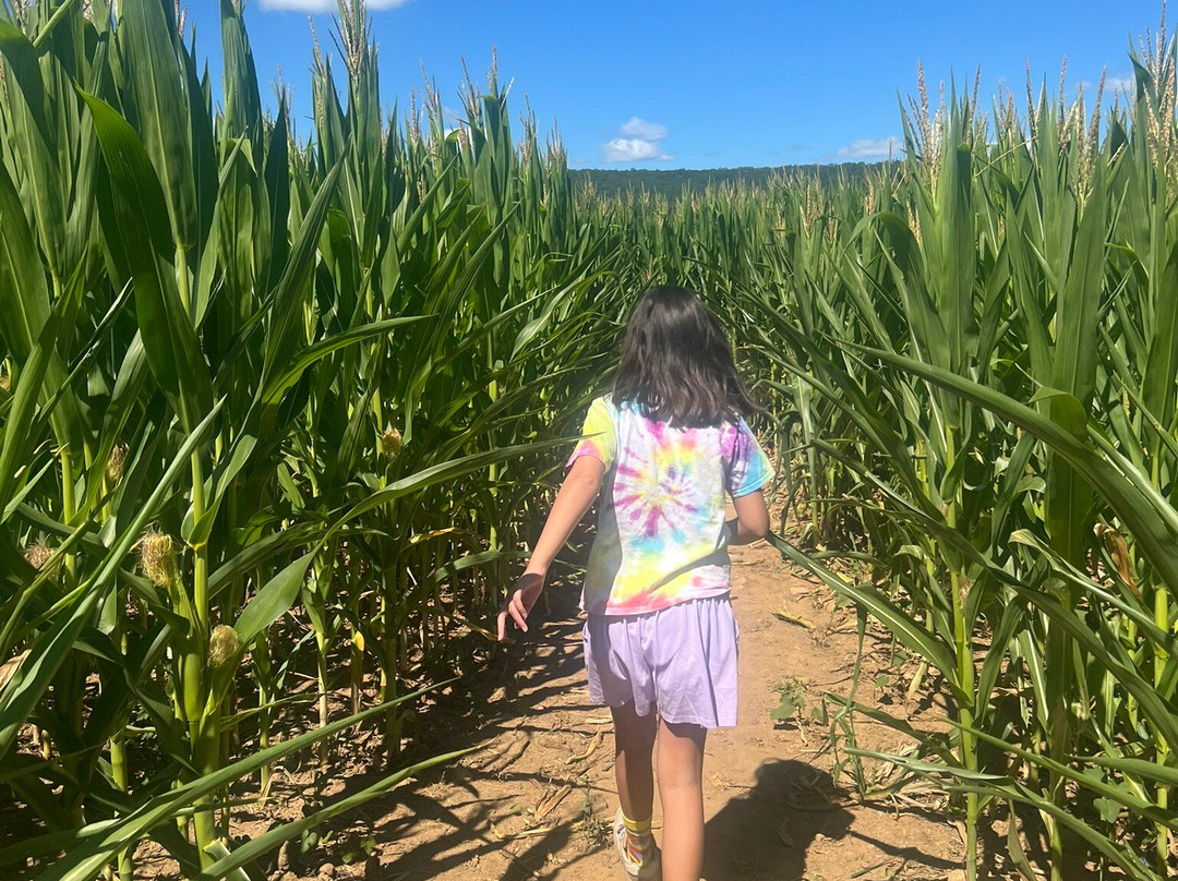 Ort Farms-Long Valley必去景点