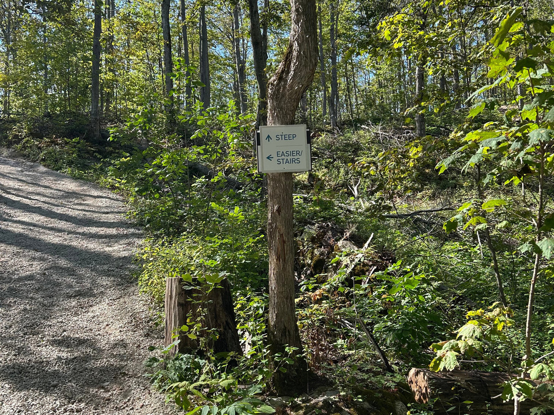 Scenic Caves Nature Adventures-蓝山必去景点