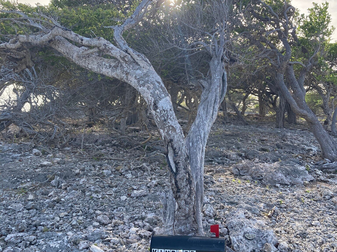 Kindred Spirit Seru Largo Bonaire-Kralendijk必去景点