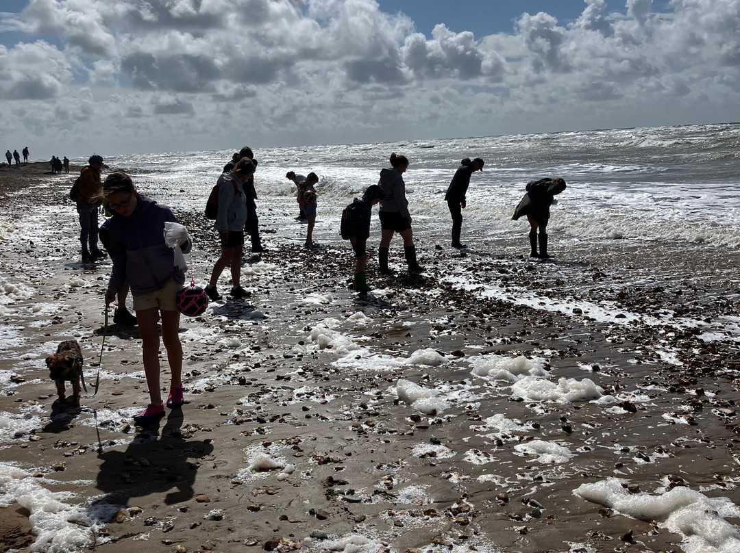Isle of Wight Fossil Hunts - Island Gems-Godshill必去景点