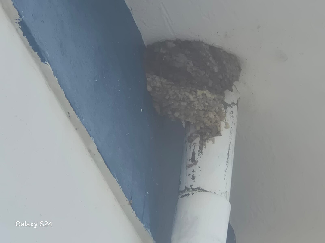 Hotel La Perla主图