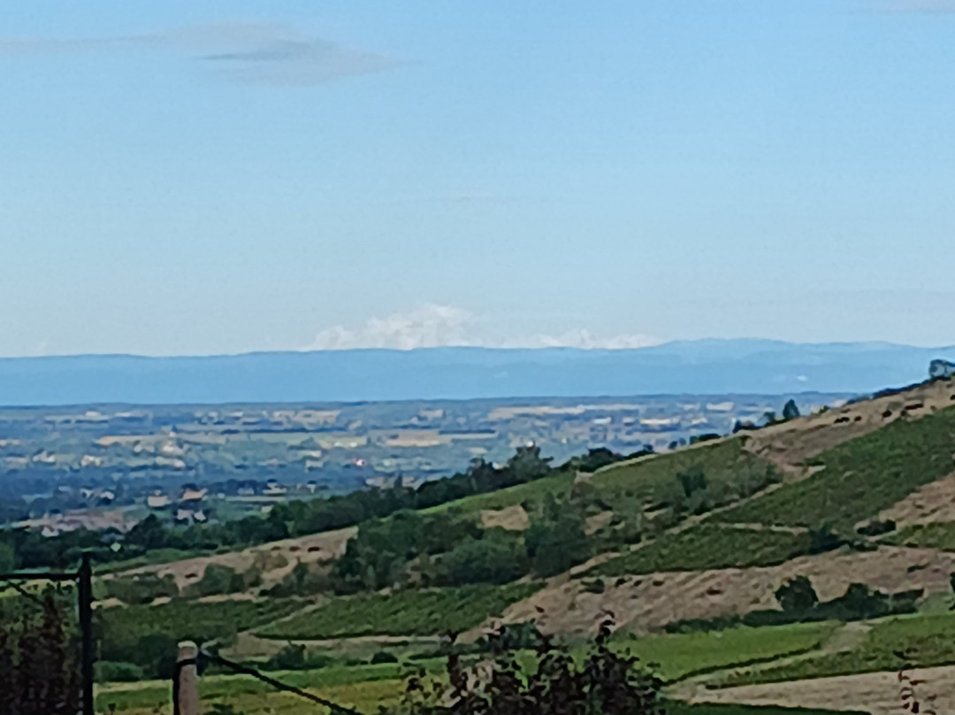 Destination Beaujolais - Bureau d'informations touristiques de Clochemerle-Vaux-en-Beaujolais必去景点