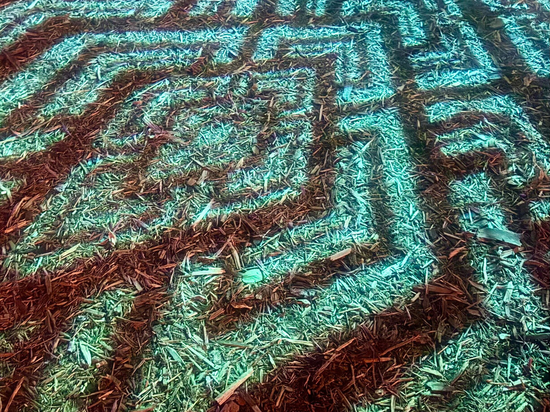 Paine Art Center and Gardens-奥什科什必去景点