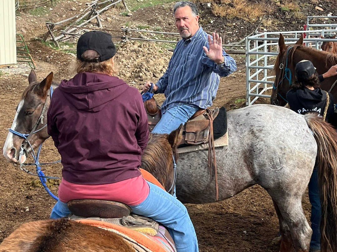 Jake's Horses-大斯凯必去景点