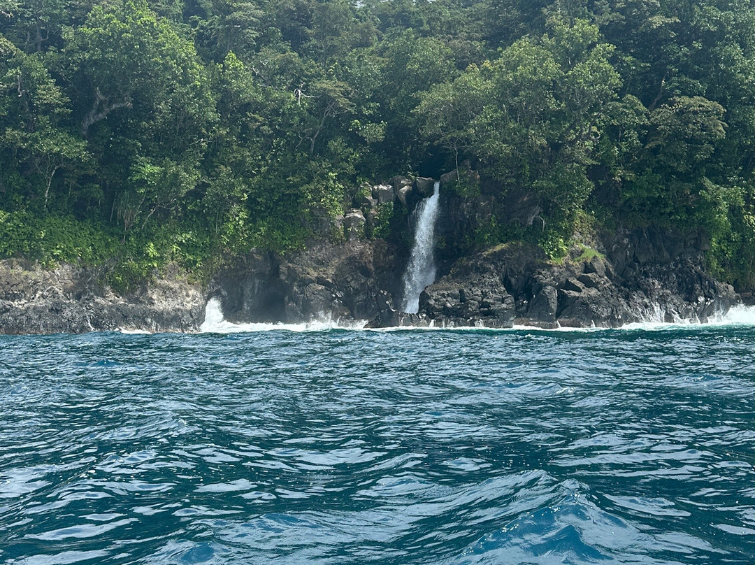 Reef Life Taveuni-马太必去景点