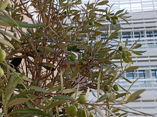 Chip-Camerino必去景点