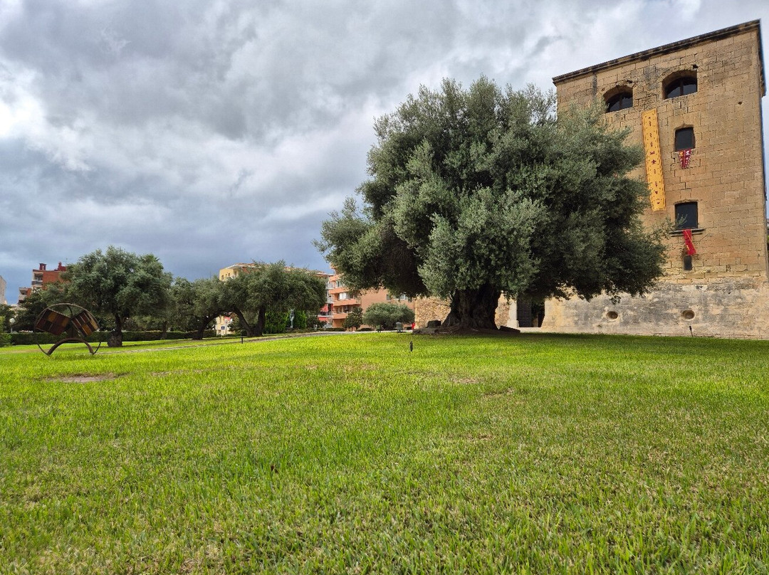 Torre Vella-萨洛必去景点