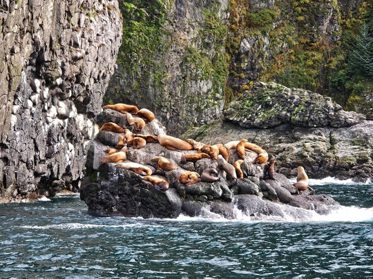 Seward Ocean Excursions-苏厄德必去景点