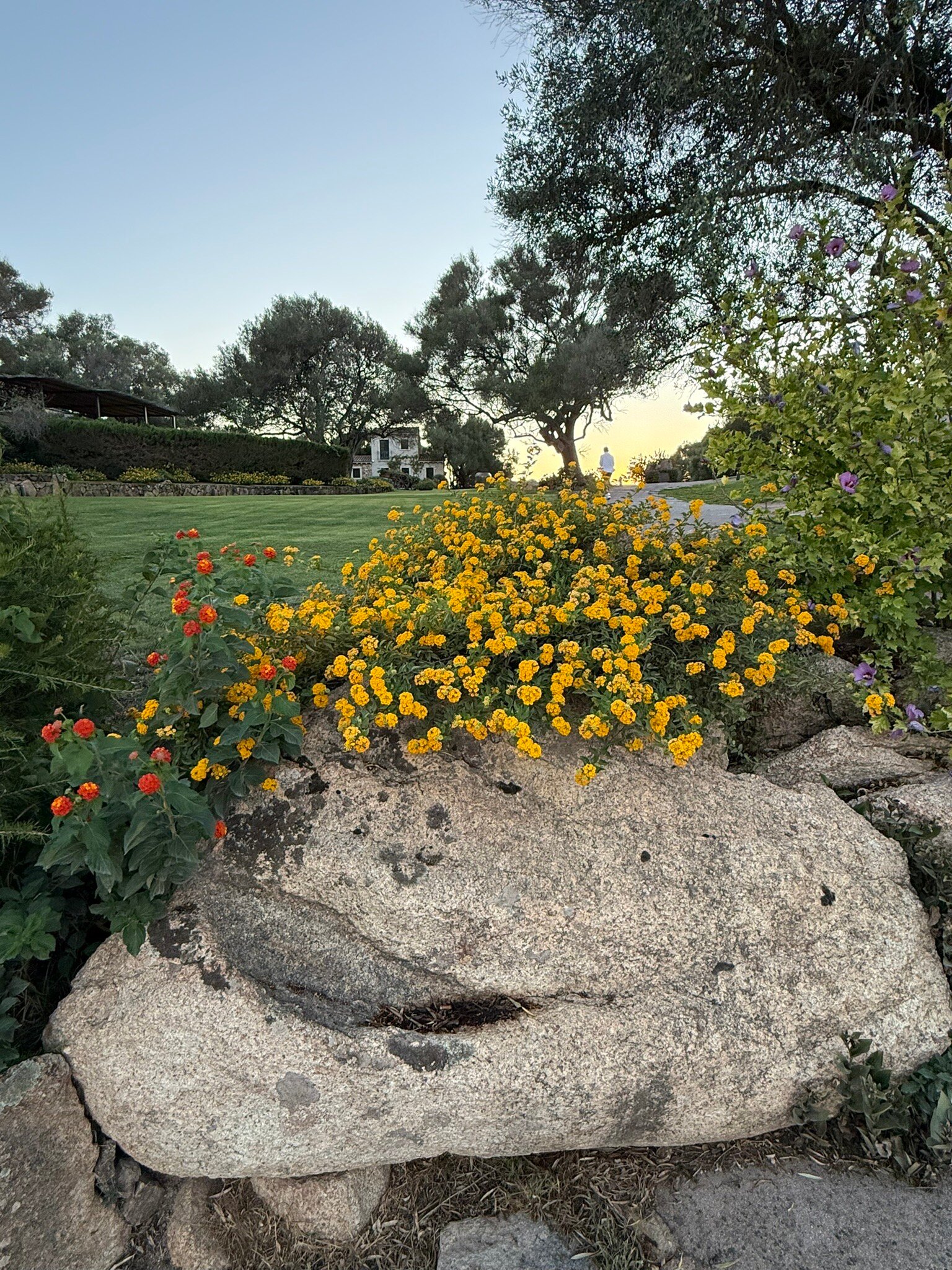 斯卡佐西亚卡鲁酒店-官方