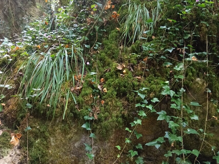 Cascata Del Demonio-Rotonda必去景点