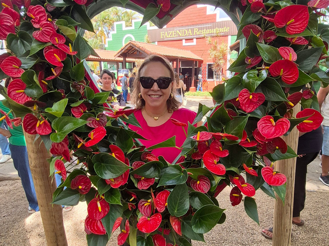 ExpoFlora-Holambra必去景点