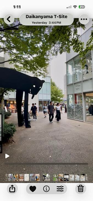 代官山茑屋书店T-SITE-涩谷区必去景点