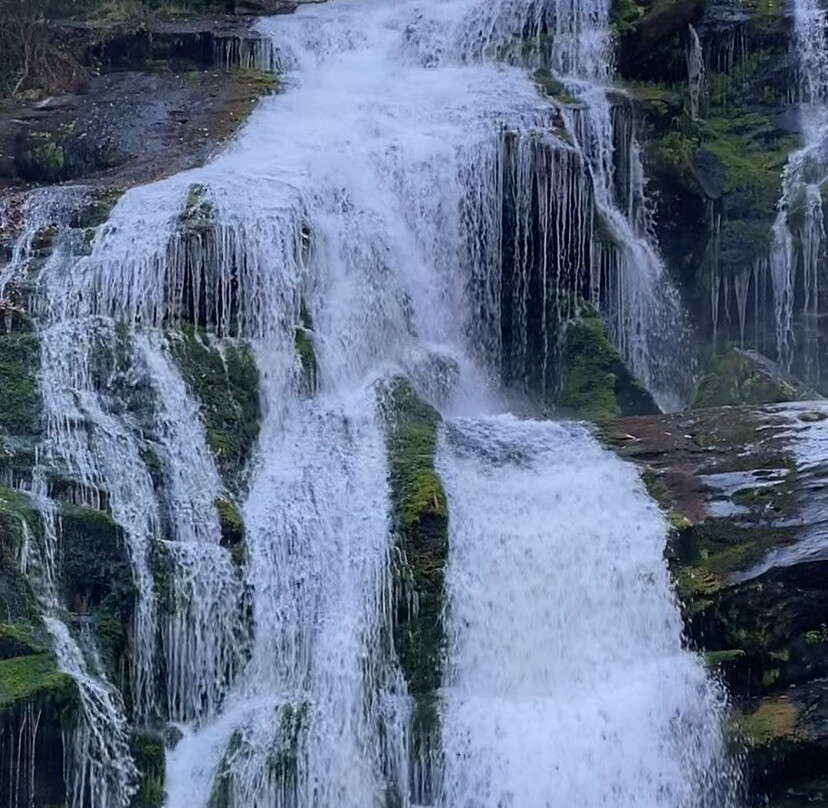 Bald River Falls-Tellico Plains必去景点