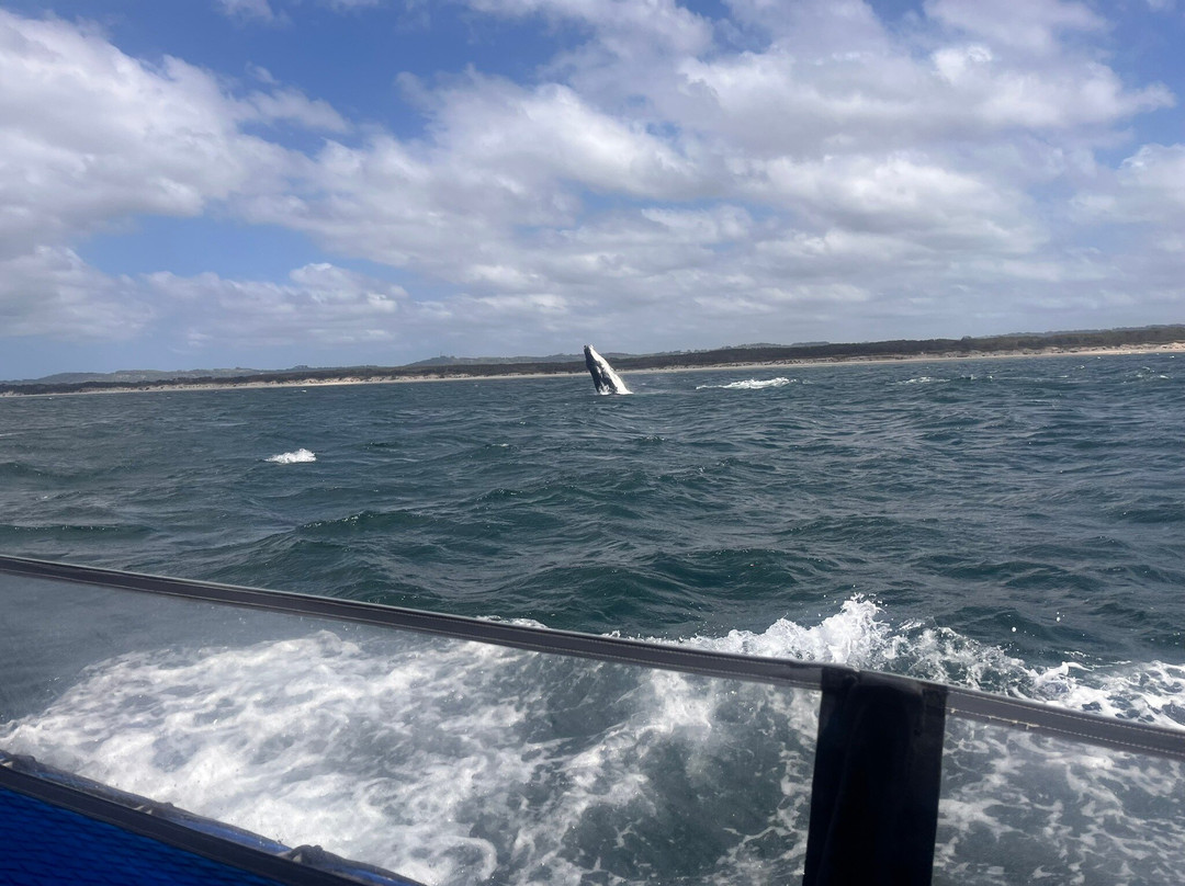 Wild Byron-拜伦湾必去景点